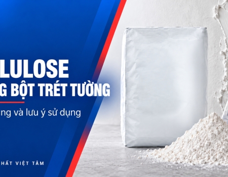 Cellulose trong bột trét tường: Công dụng, cách chọn và lưu ý khi sử dụng